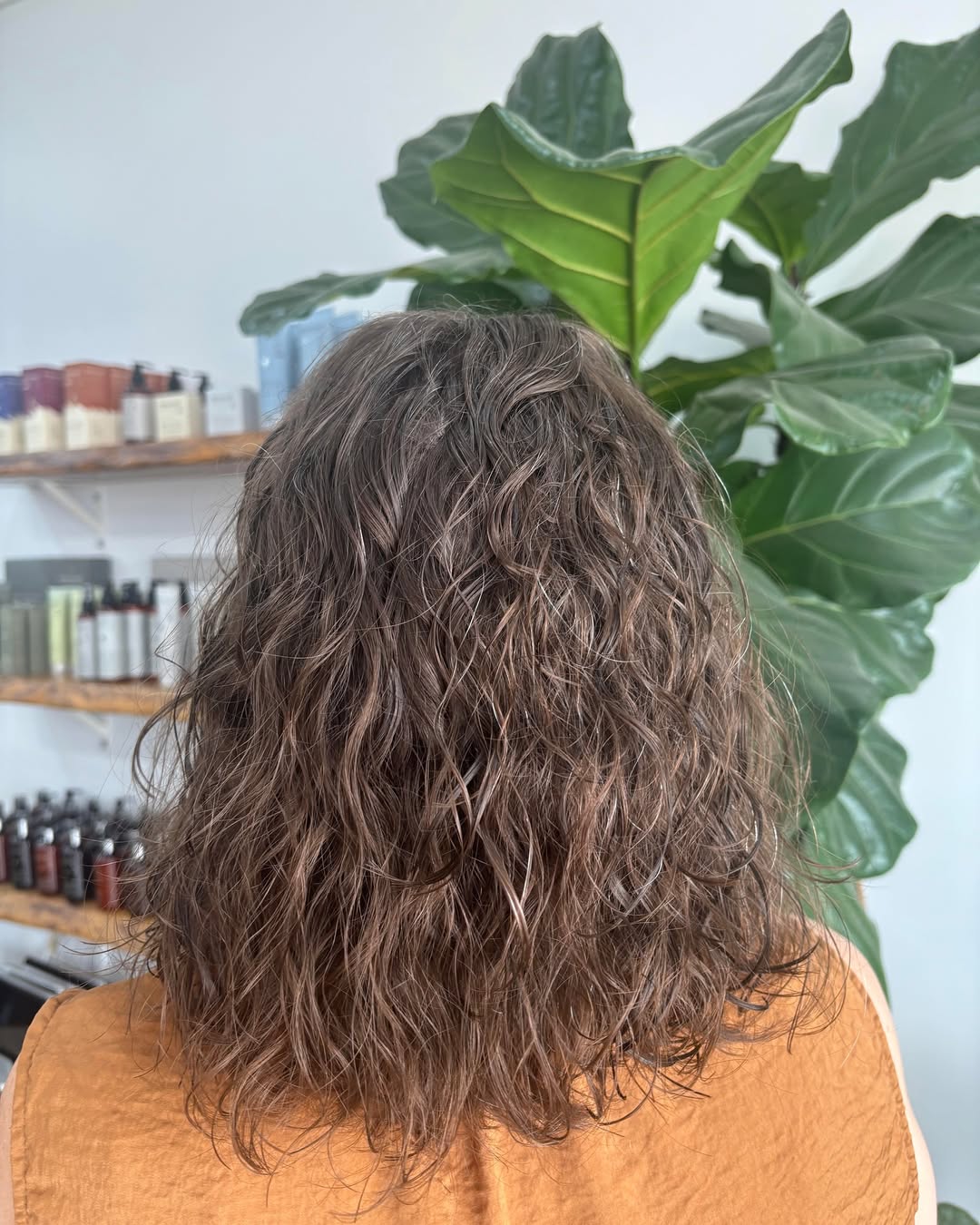 Balayage Highlights